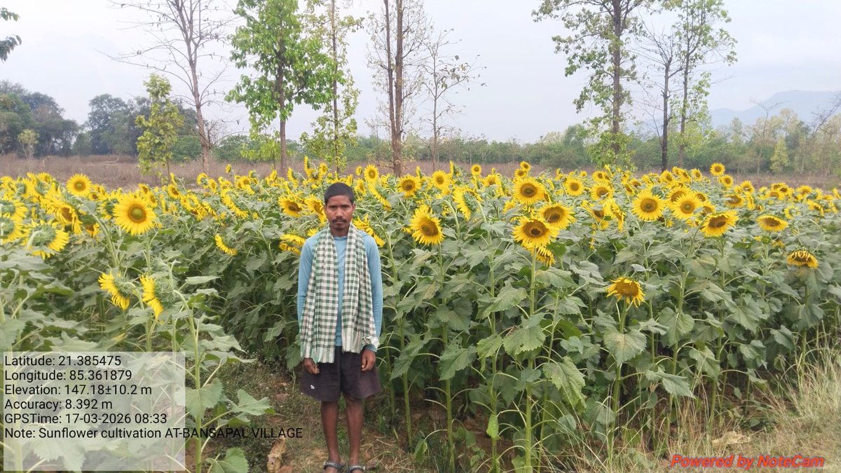 ST & SC Development Department tweet media