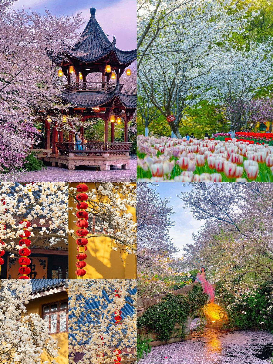 韩美丽🇨🇳(互fo互赞必回) tweet media