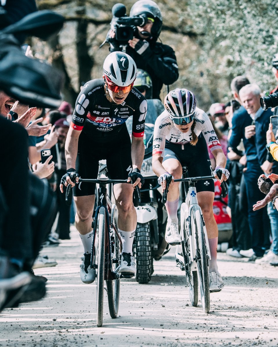 スペシャライズド・ジャパン tweet media