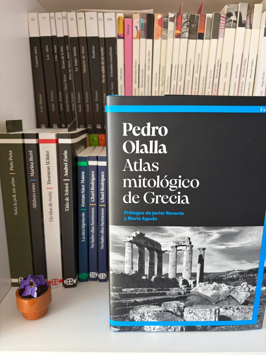 Chari Rodríguez tweet media