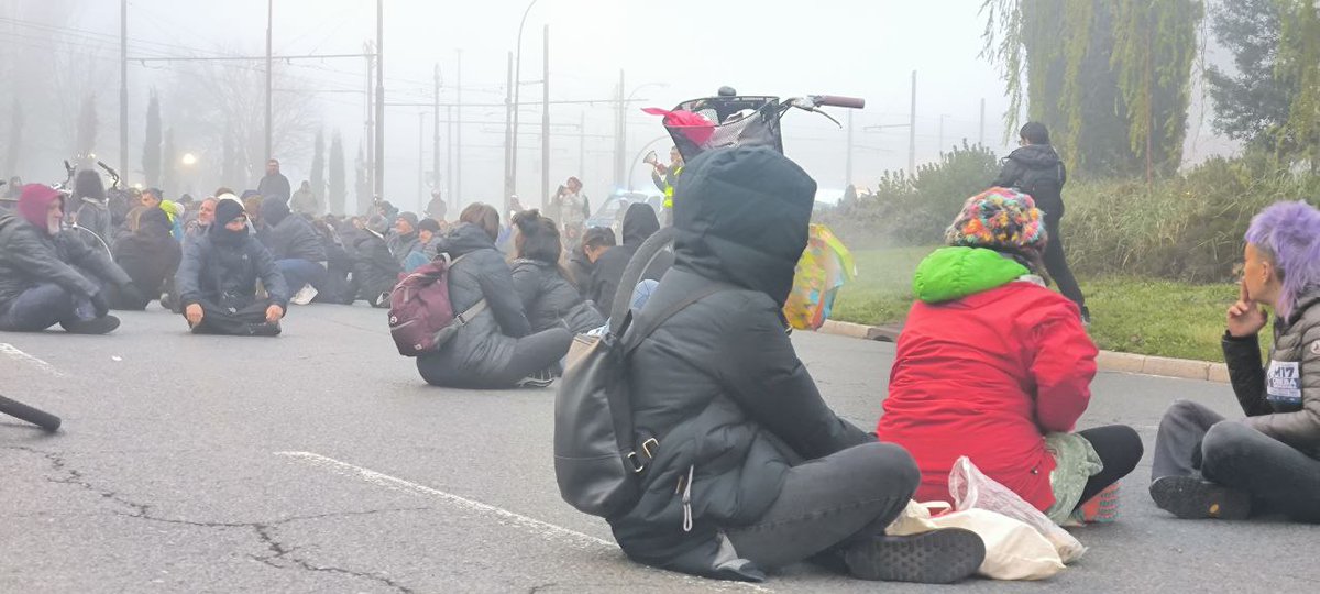 STEILAS sindikatua tweet media