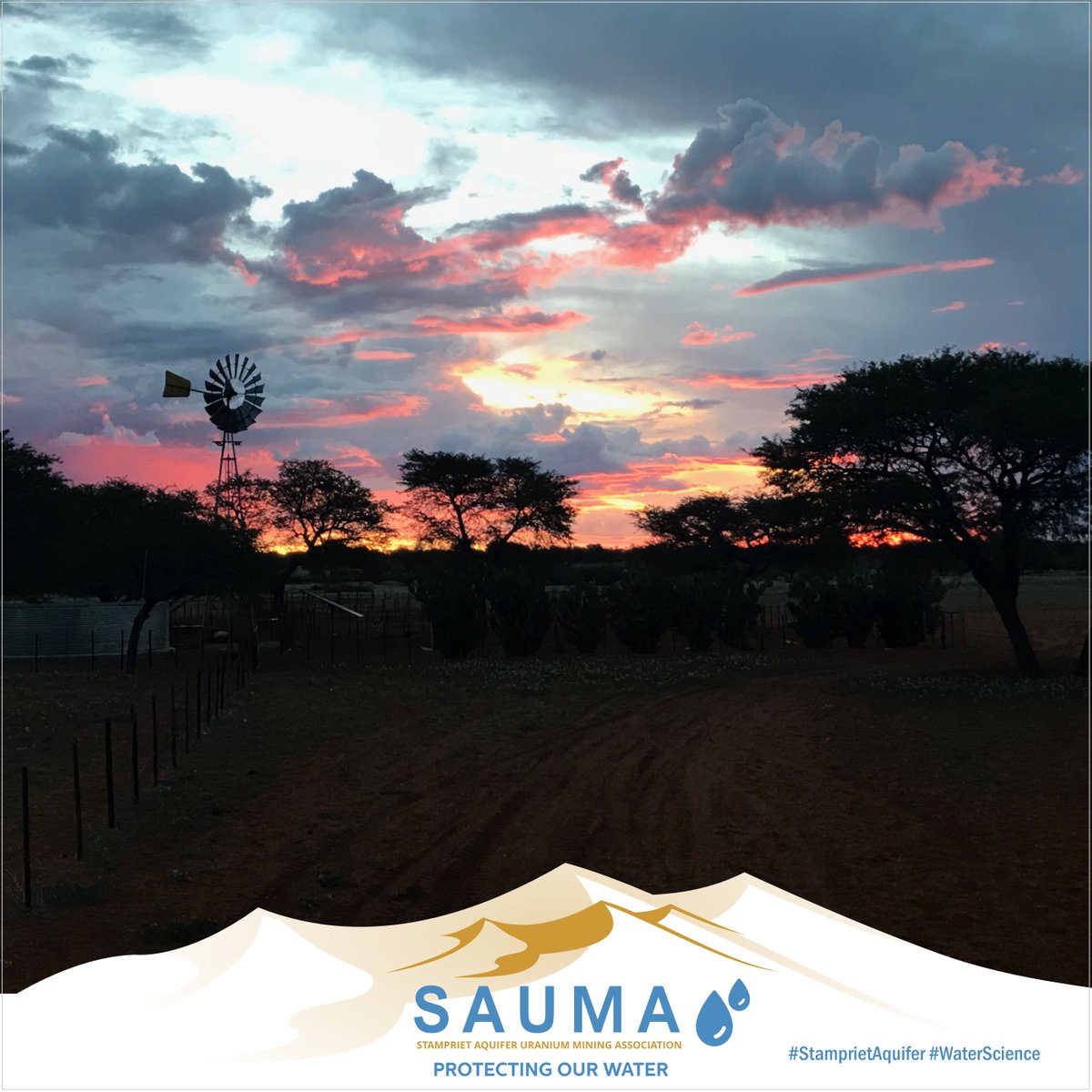 SAUMA Namibia tweet media