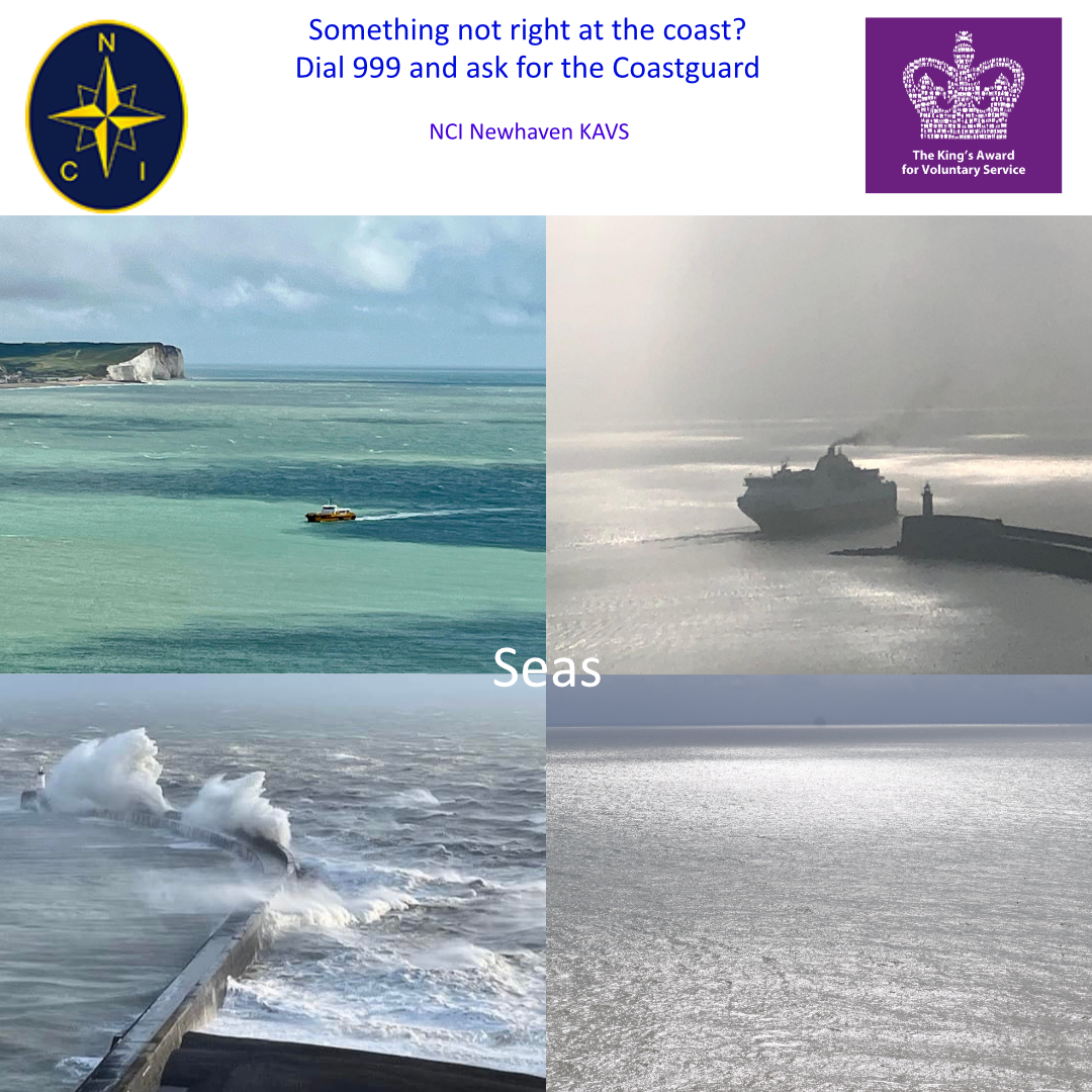 NCI Newhaven KAVS tweet media