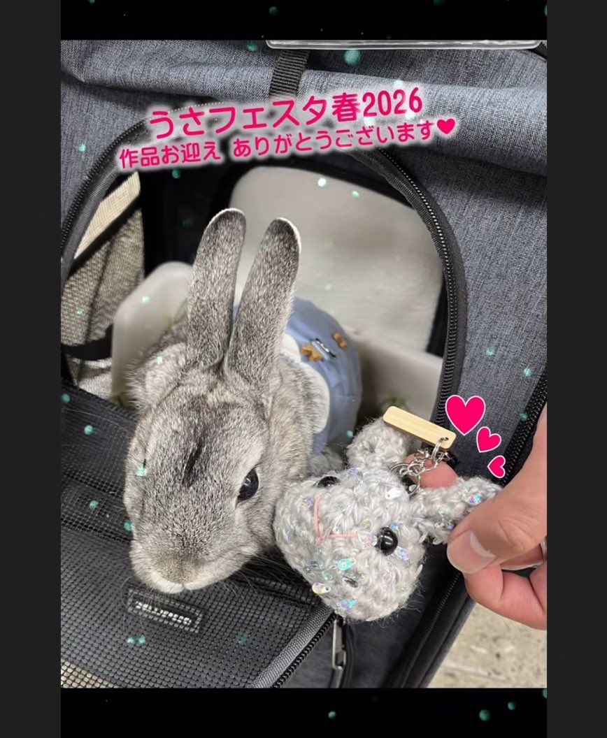 うさフェス戦利品(の一部)
編みぐるみ🐰あまりにもかわいいー！！
らびまろそっくりで嬉しい🫶🏻

 #うさフェスタ2026春