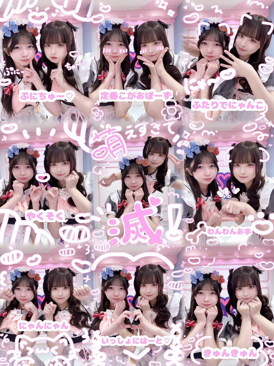 ちゃまる🐶めいどりーみん tweet media