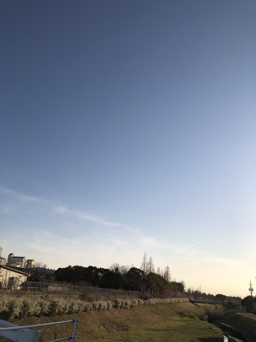 shiro111's tweet photo. 今のお空 https://t.co/w6jjJsJm1u