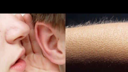 yun🪭!⁷ tweet media