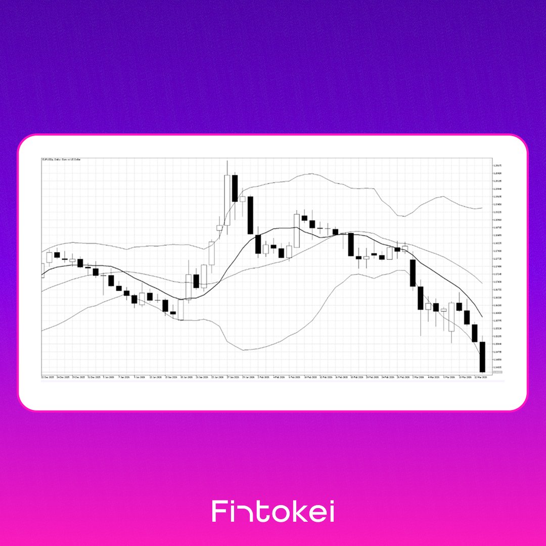 Fintokei tweet media