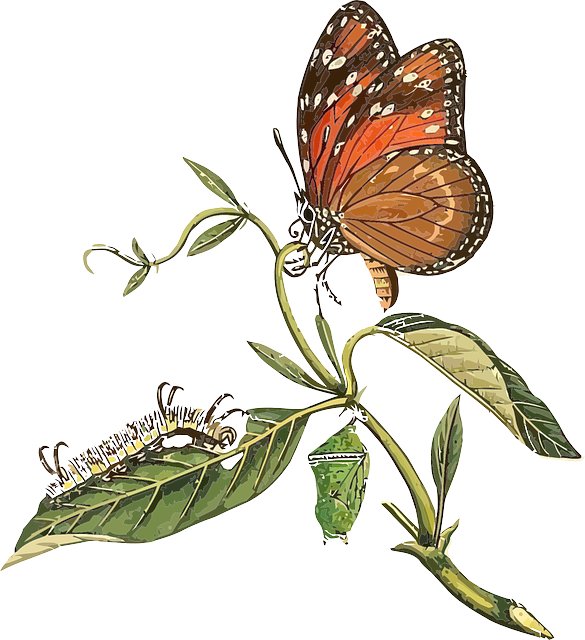 Oxy Macon tweet media