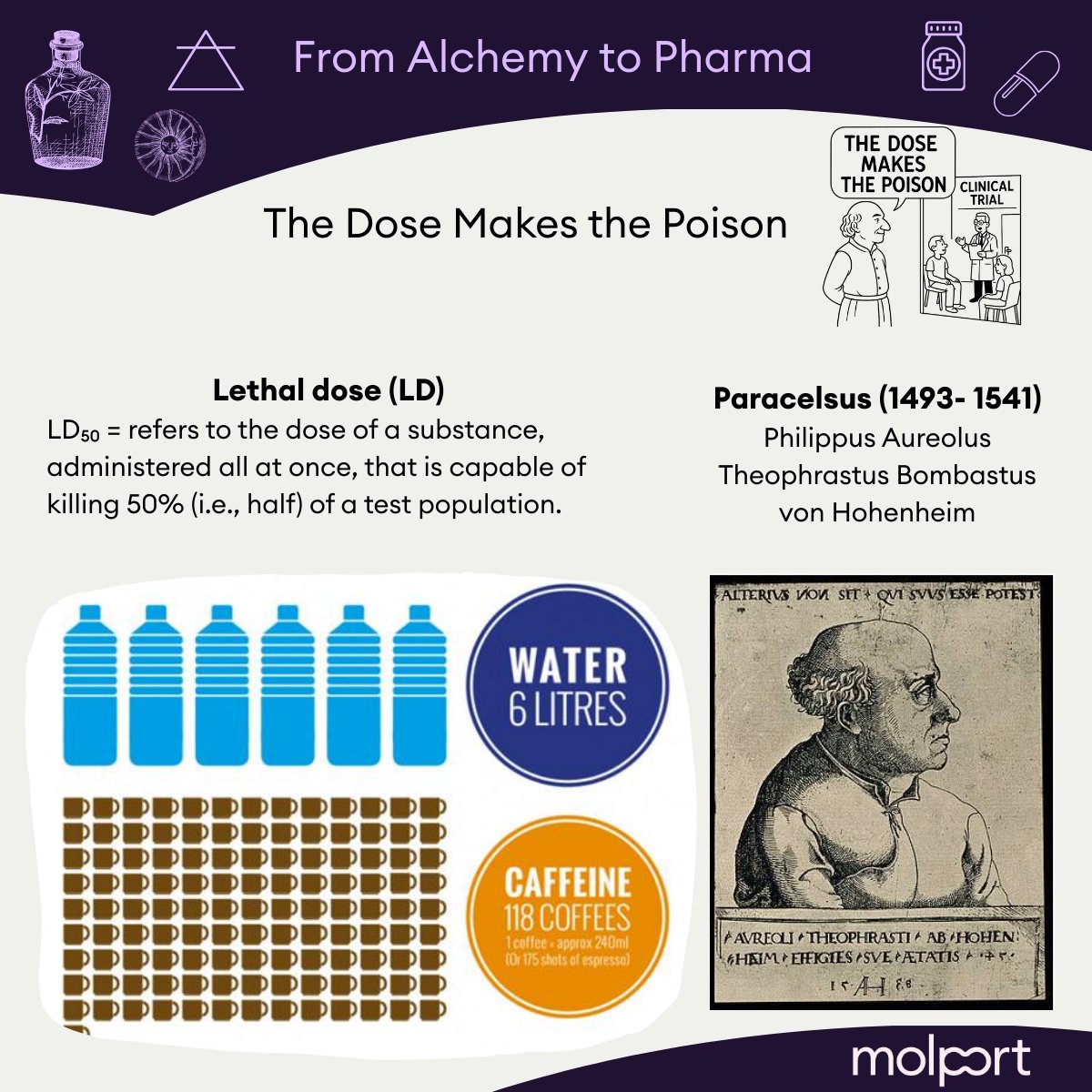 MolPort's tweet photo. What if everything is a poison… depending on the dose?
Article #2 in our Alchemy to Pharma series explores Paracelsus and a principle that still shapes drug development today.
👉 https://t.co/SmdhnnvGRF
#DrugDiscovery #Toxicology https://t.co/yWfeWNfLvw