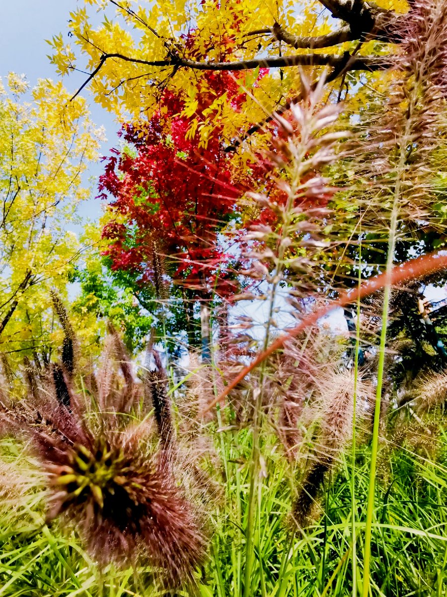 WF Assistant tweet media