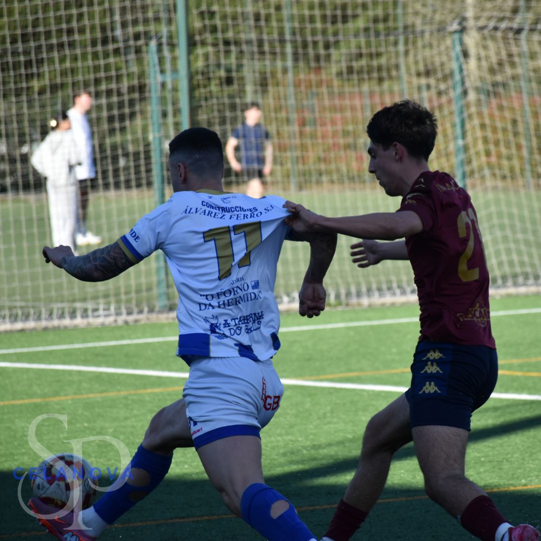 SportingCelanova tweet media