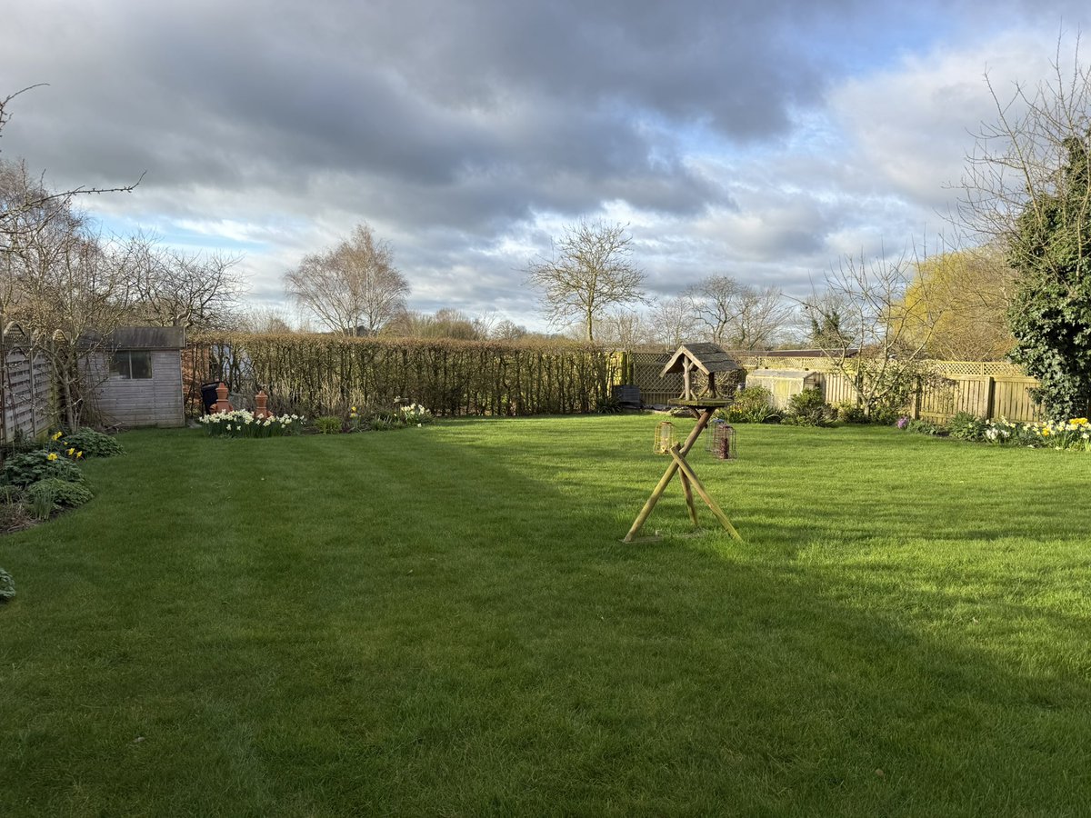 Adam Newell tweet media