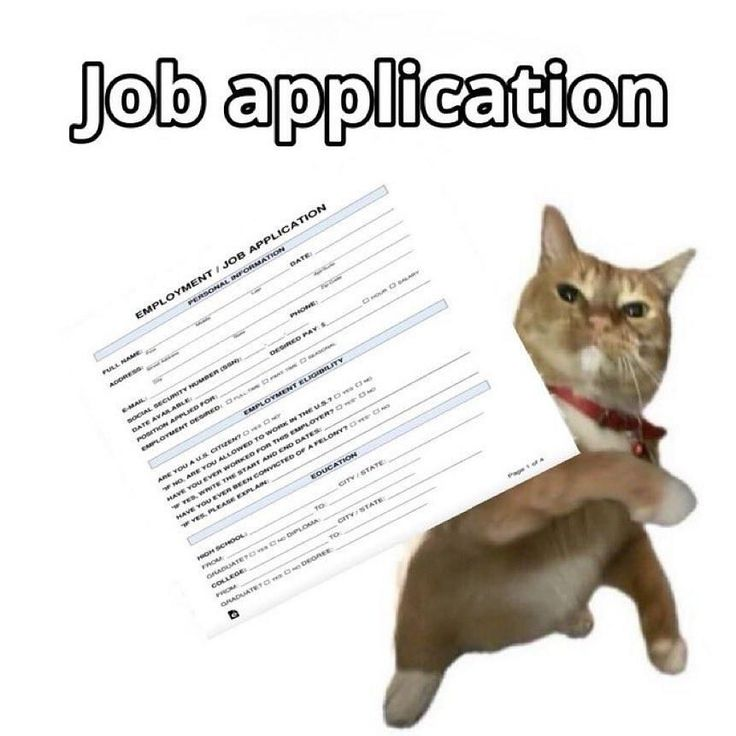 InfoJobs tweet media