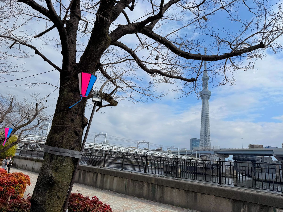 ハッチャン：ランニングアドバイザー tweet media