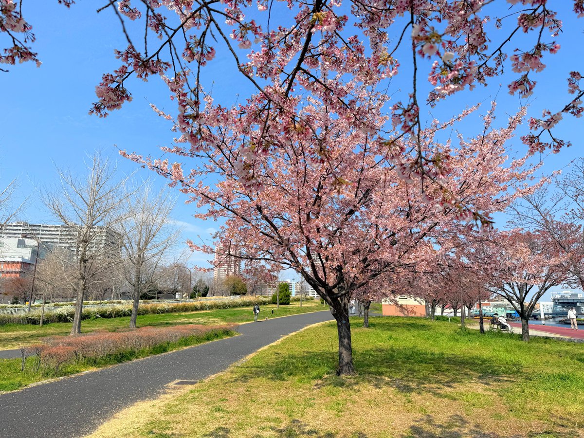 ハッチャン：ランニングアドバイザー tweet media