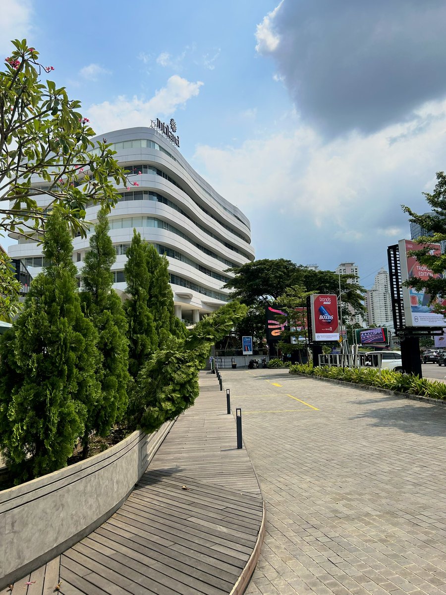 🐻🐻 tweet media