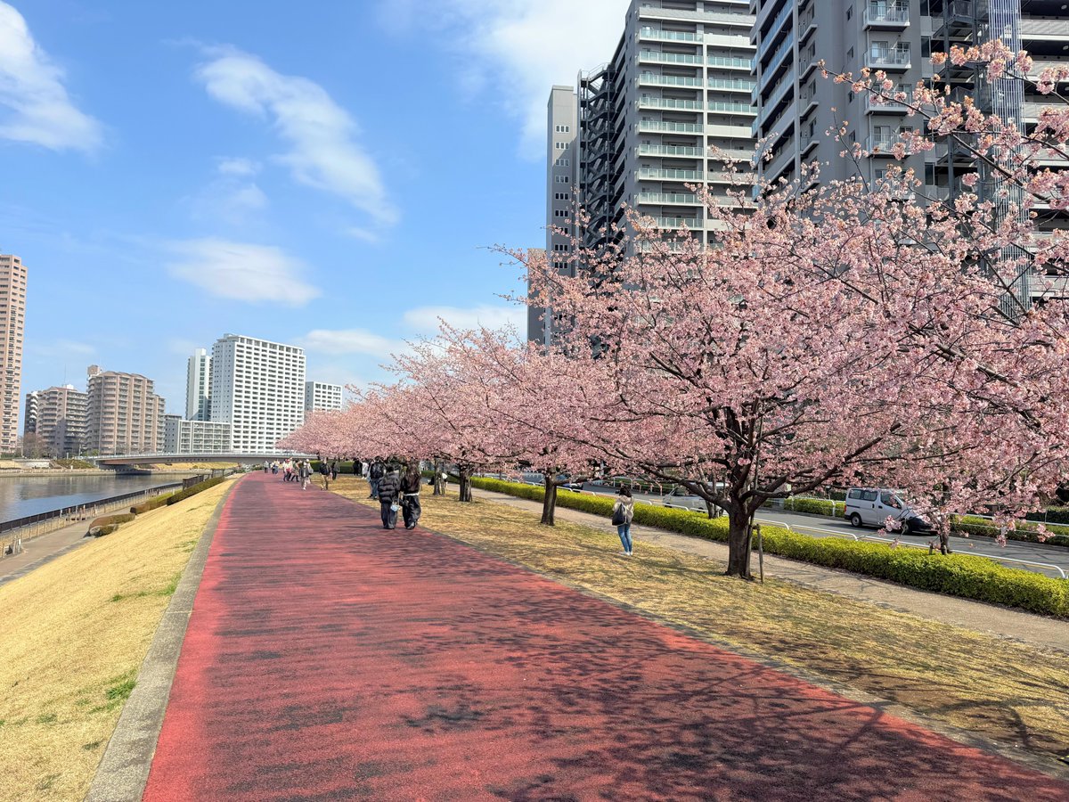 ハッチャン：ランニングアドバイザー tweet media