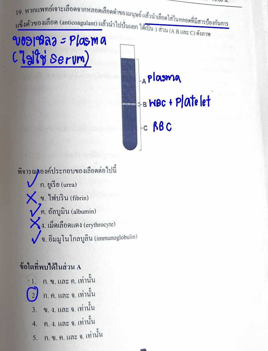 พี่บอล bioislike tweet media