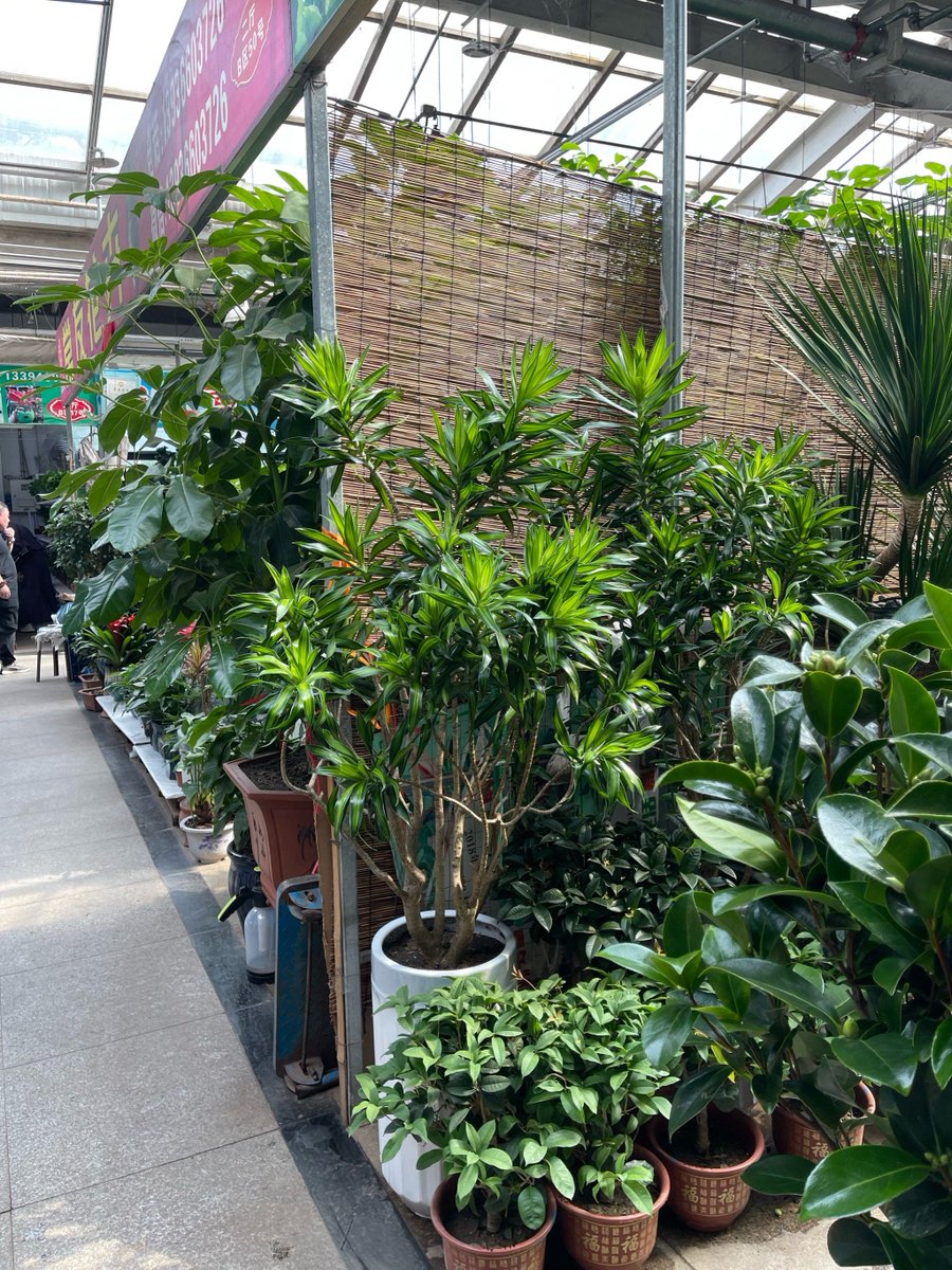 Mike Assistant tweet media