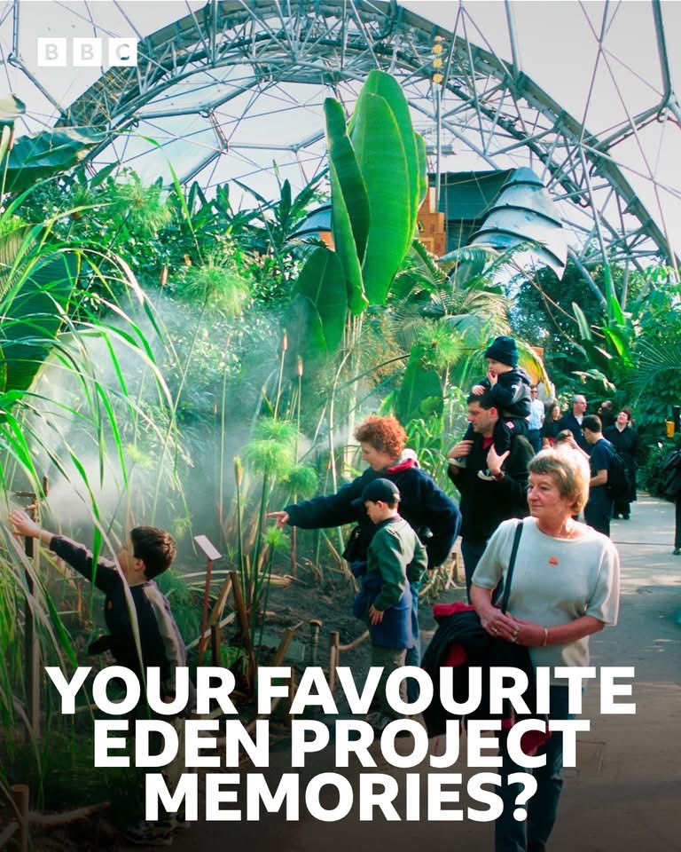 BBC Cornwall tweet media