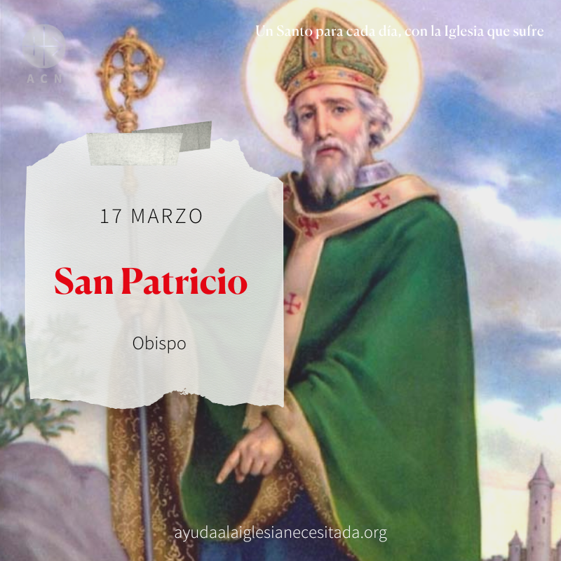 #FelizMartes Memoria de san Patricio. Fue llevado cautivo desde Gran Bretaña a Irlanda. Tras recuperar la libertad, quiso ser contado entre los clérigos y regresar a la misma isla, donde anunció con ardor el Evangelio. Ruega por todos los obispos del mundo. 🙏