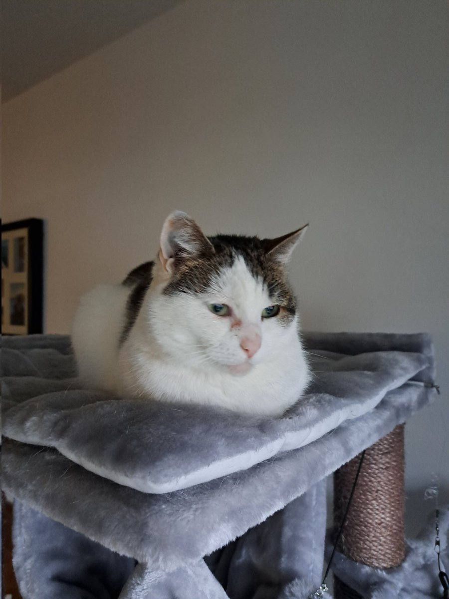 ans vredenberg tweet media