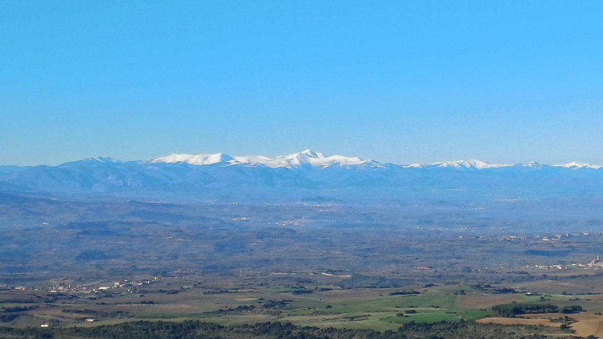 Albert Antón Gil tweet media