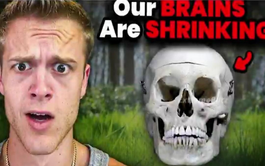 Cone-Head tweet media