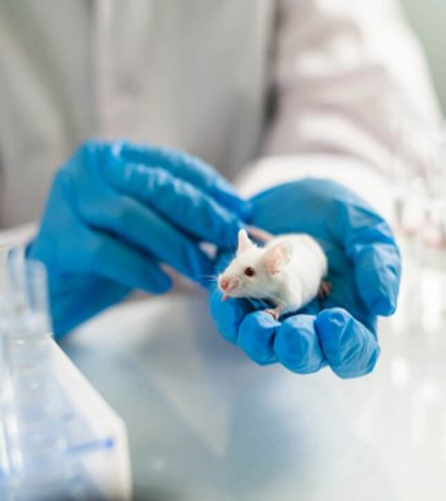 CreaBioarray's tweet photo. With years of expertise, Creative Bioarray serves as a trusted partner in safety evaluation, specializing in preclinical toxicology testing. Our comprehensive testing platform supports applications throughout all stages of product development. https://t.co/qjSNYwveIc https://t.co/aFaR7wYipl