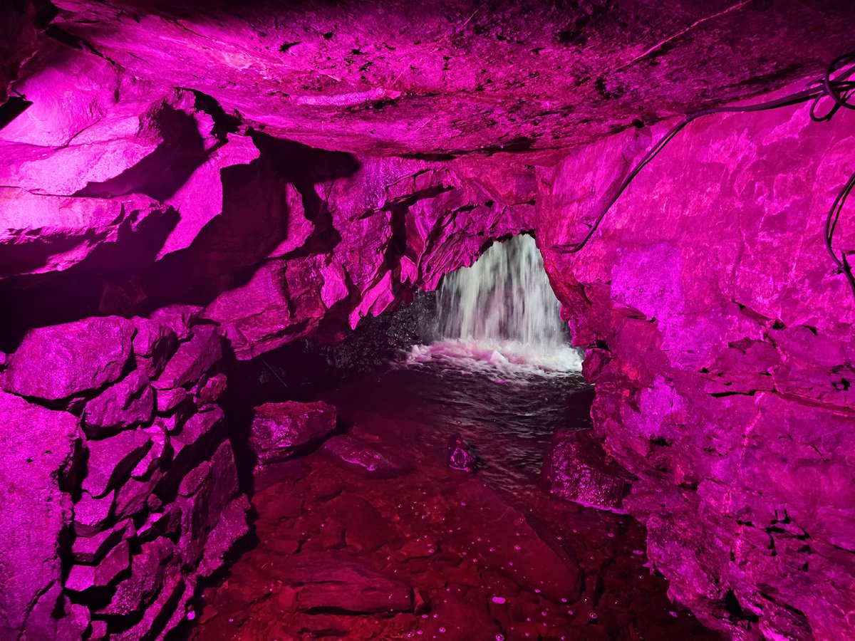 Nick Parnell tweet media