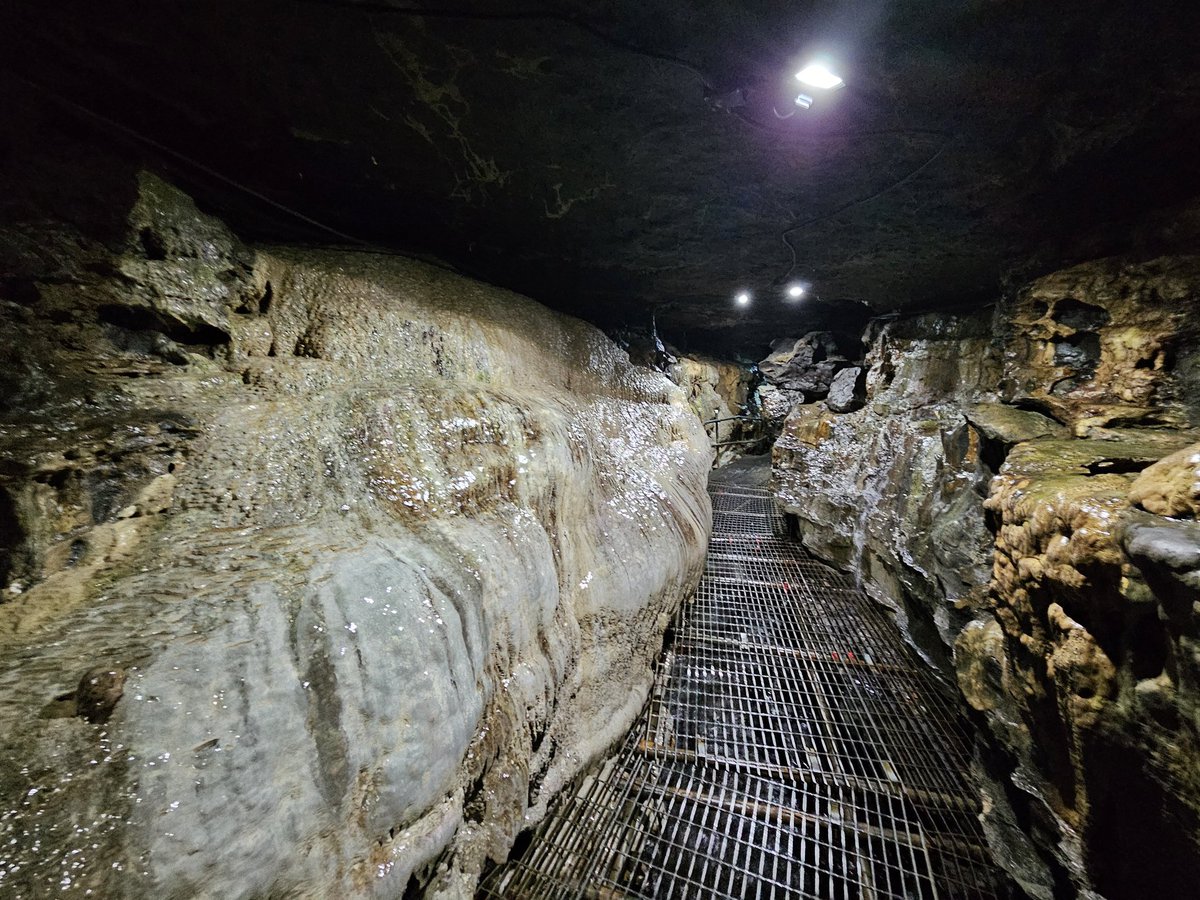 Nick Parnell tweet media