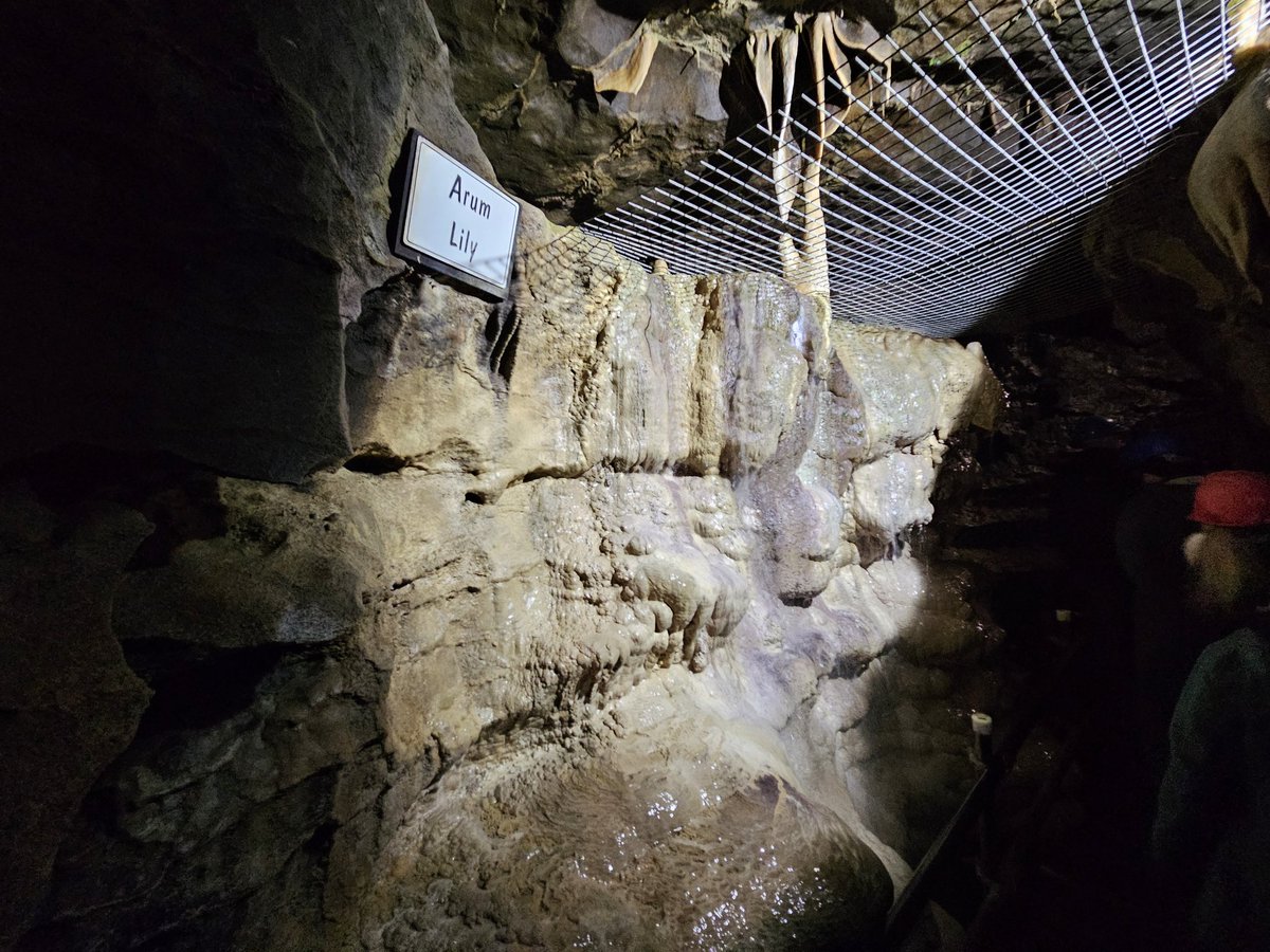 Nick Parnell tweet media