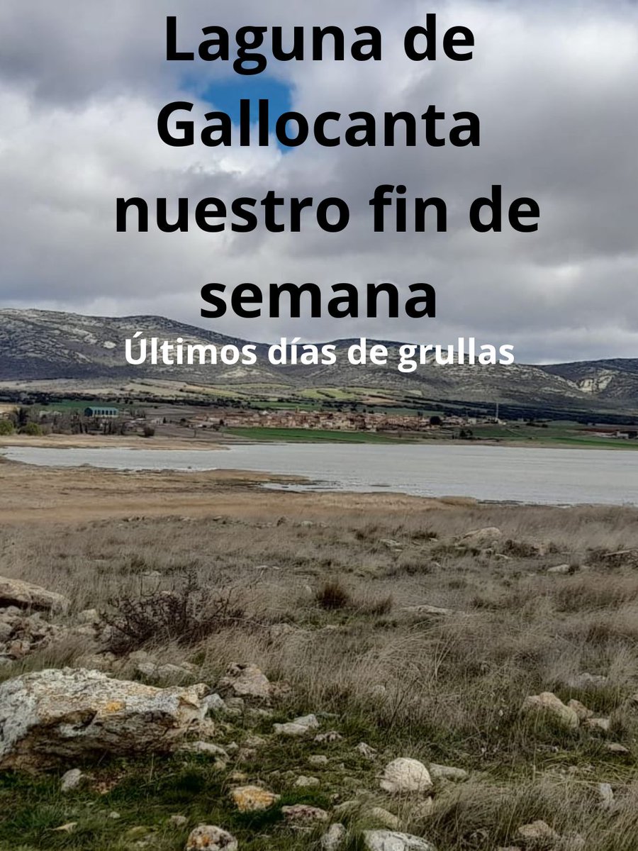 Rutas Pangea tweet media