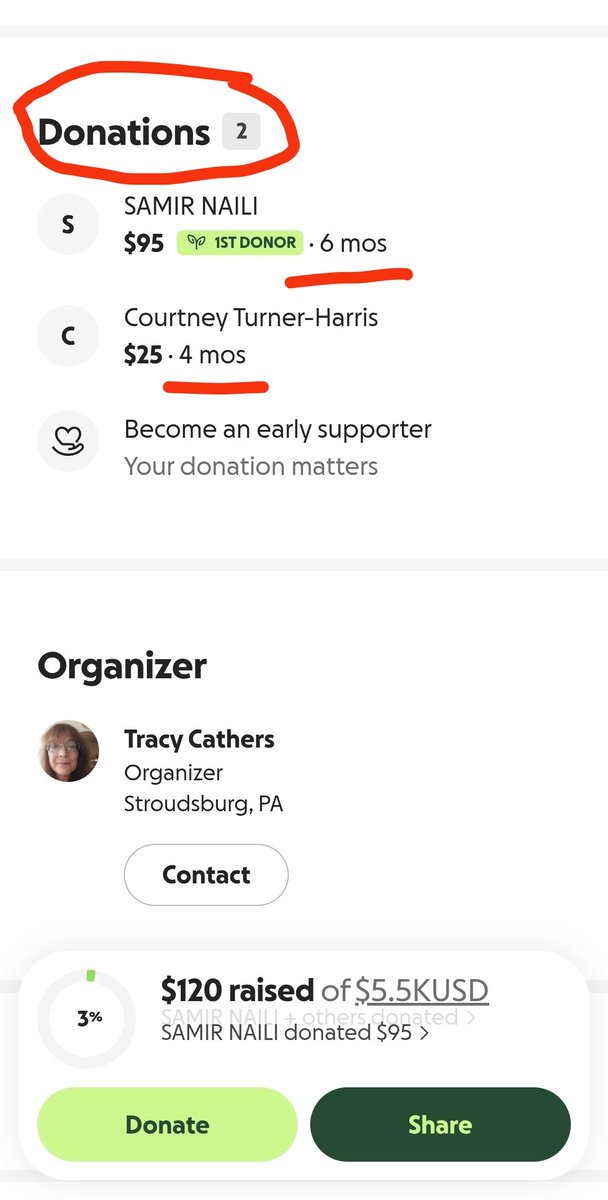 Aline From GAZA 2 🇵🇸💔 tweet media