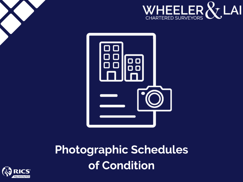 WLSurveyors's tweet image. A photographic schedule can be invaluable to either party when the lease terminates, whether you are the landlord of the property or tenant that is leaving it.
All enquiries to info@wlsurveyors.co.uk 01983 210335 Isle of Wight or 023 9421 7335 Portsmouth.#CharteredSurveyors