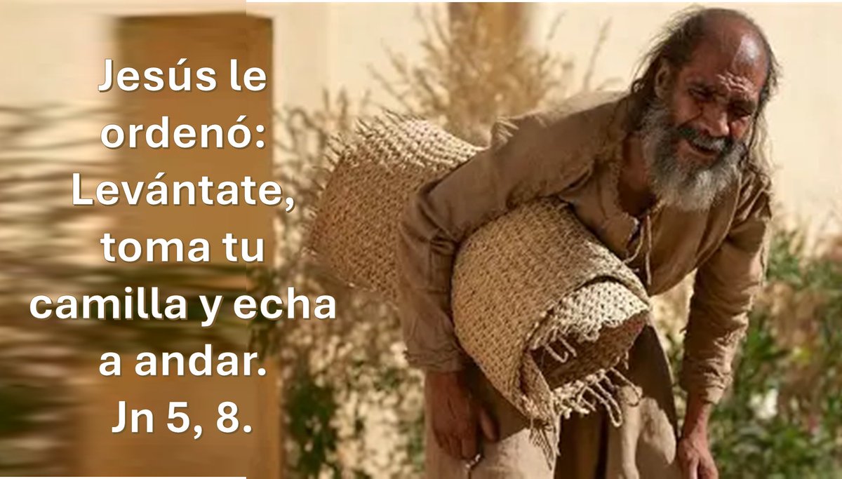 Orar con el evangelio tweet media