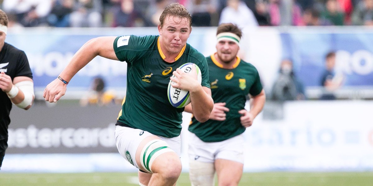 Springboks tweet media