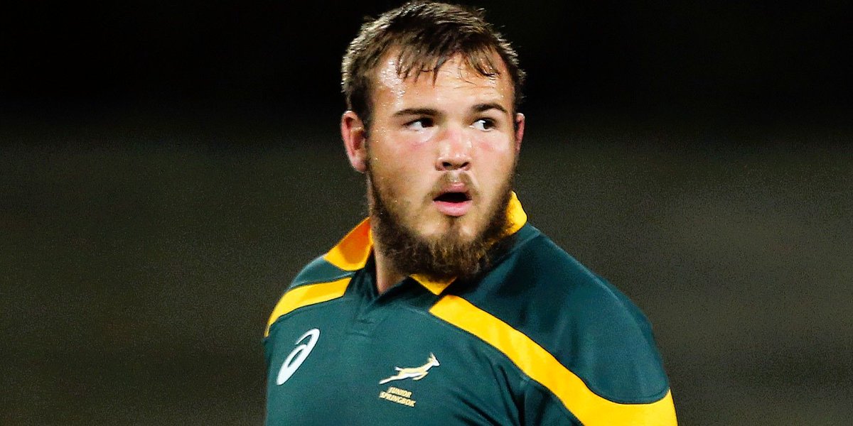 Springboks tweet media