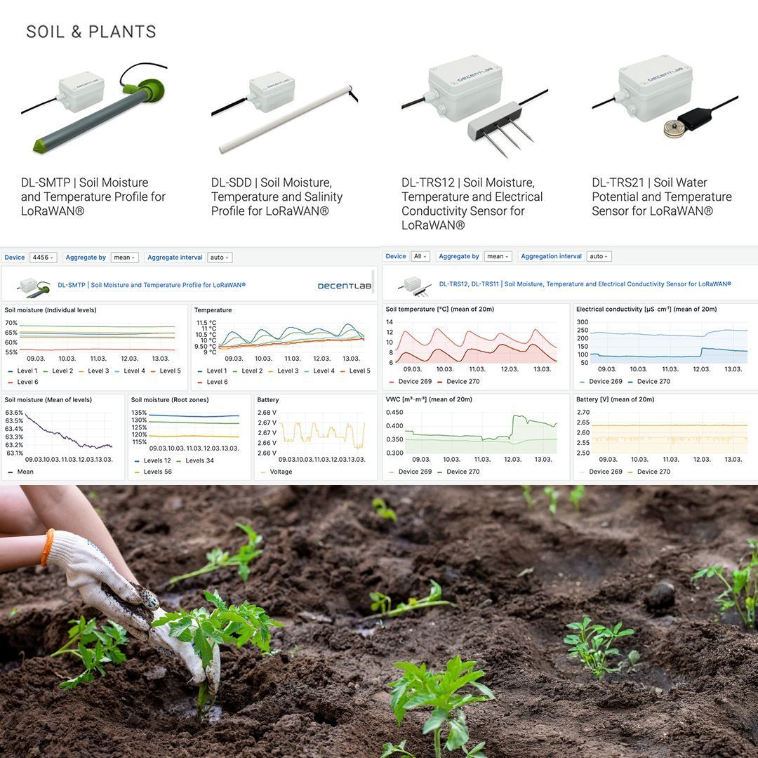 Decentlab tweet media