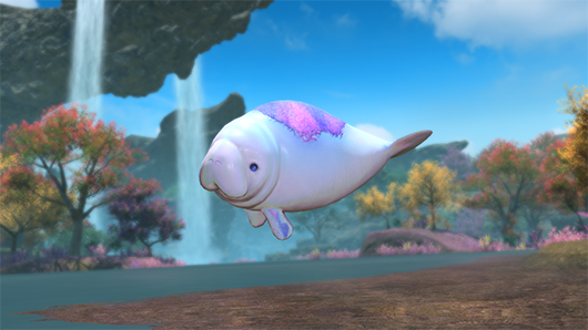 NEW 알림용 계정 tweet media