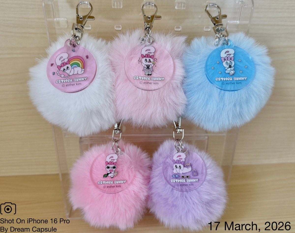 ドリームカプセルの中の人【公式】 tweet media