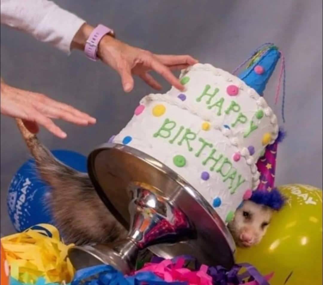 モルン tweet media