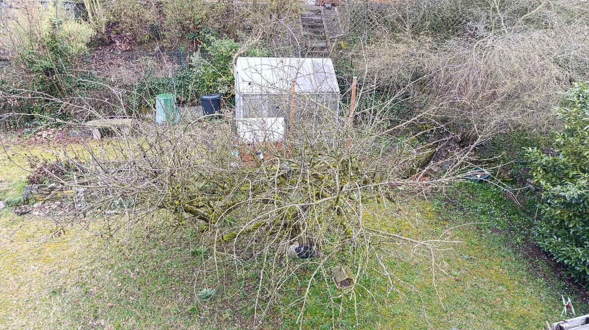 Unfug 🫟 tweet media