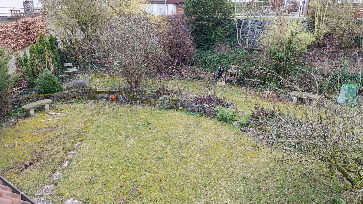 Unfug 🫟 tweet media