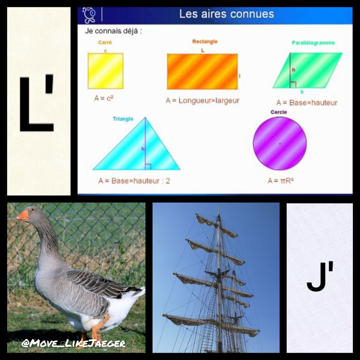 George Clown-né 🇺🇦🇺🇦🇺🇦 tweet media