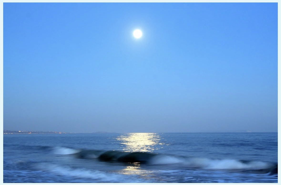 SheClicks tweet media