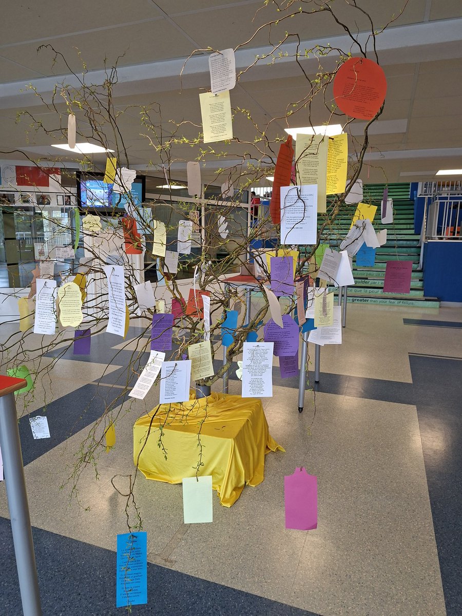 Cité éducative de Behren-lès-Forbach tweet media