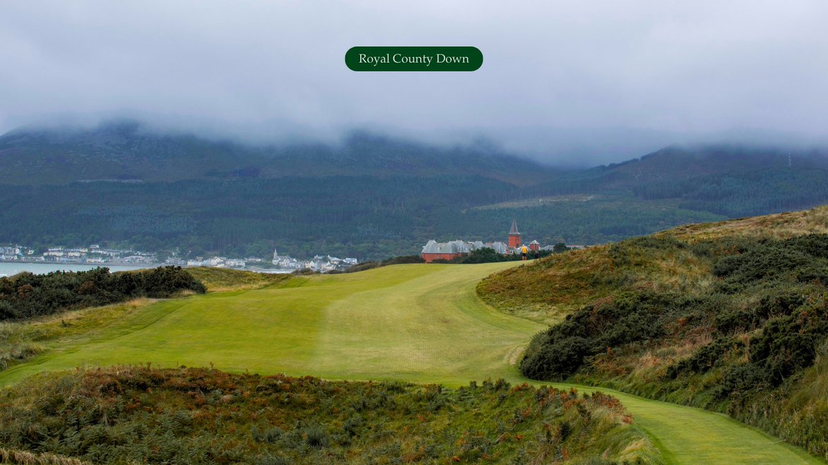 Cookie Jar Golf tweet media