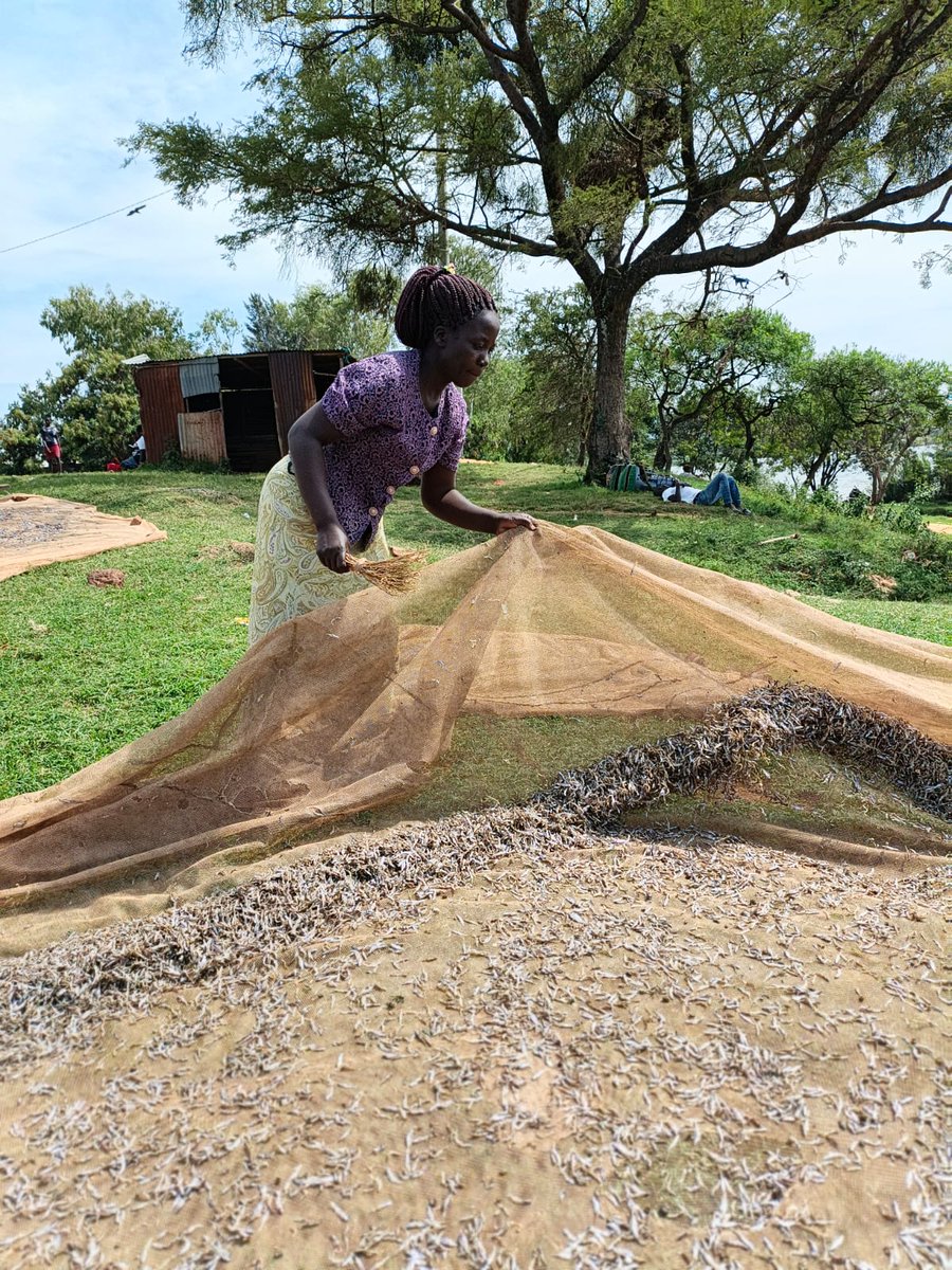 MSC (MicroSave Consulting) tweet media